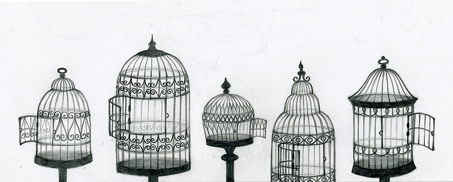 640x258 Collection Of Vintage Bird Cage Drawing Tumblr High Quality - Cage Sketch