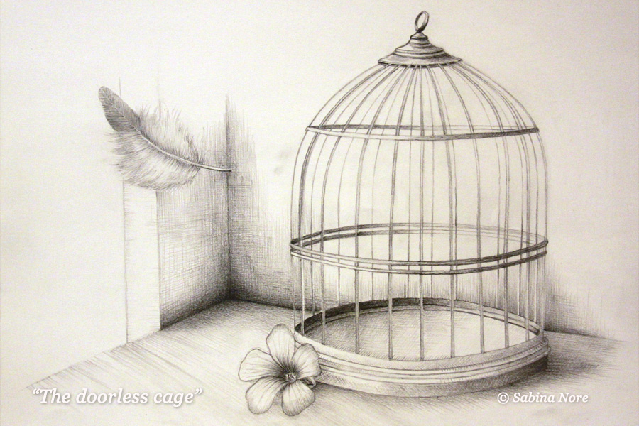 900x600 The Doorless Cage By Sabinanore - Cage Sketch