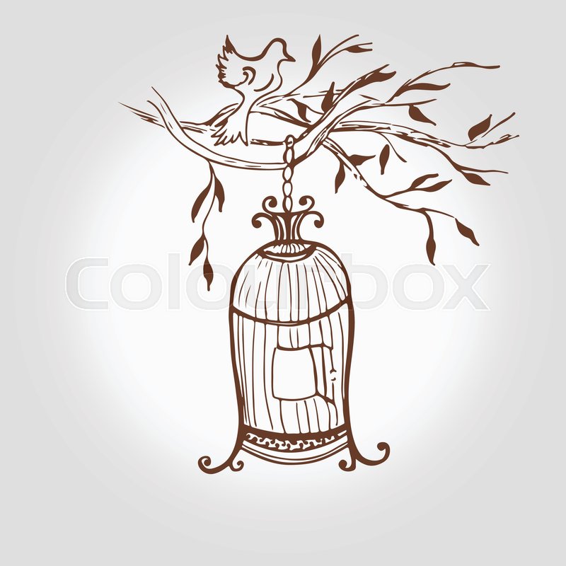 800x800 Vector Vintage Hand Drawn Cage. Sketch Birdcage Vector. Vintage - Cage Sketch