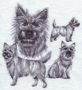 275x300 Cairn Terrier Sketch - Cairn Terrier Sketch