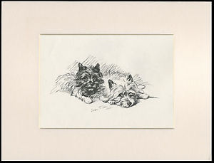 300x229 Cairn Terrier Two Little Dogs Cute Dog Sketch Print By Mac Lucy - Cairn Terrier Sketch