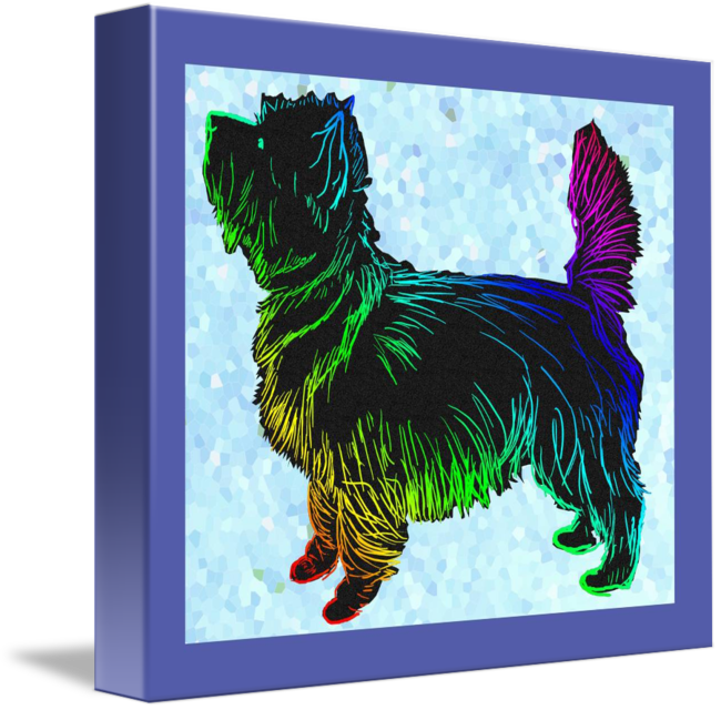 650x640 Cairn Terrier Pop Art Sketch By Diane Blackman - Cairn Terrier Sketch