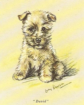 344x430 Cairn Terrier Vintage Dog Art Prints, Gifts And Artwork From - Cairn Terrier Sketch