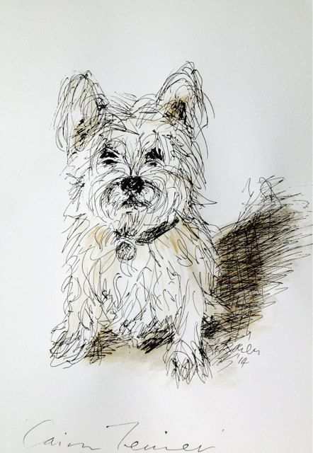 442x640 Cairn Terrier Dog, Original Ink Sketch On Paper Cairns R Us - Cairn Terrier Sketch