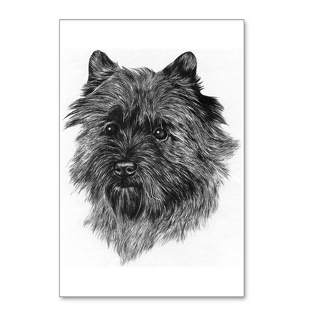 460x460 Dog Pencil Drawing Postcards - Cairn Terrier Sketch