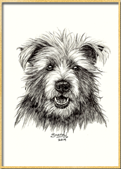 172x240 Portrait Of Cairn Terrier Done In Pen And Ink Custom Portrait - Cairn Terrier Sketch