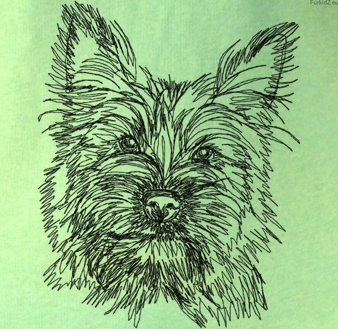 678x660 Sweatshirt Cairn Terrier Mistletoe - Cairn Terrier Sketch