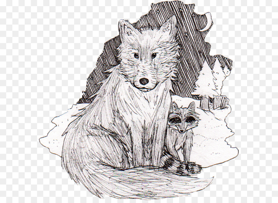 900x660 West Highland White Terrier Cairn Terrier Raccoon Drawing Sketch - Cairn Terrier Sketch