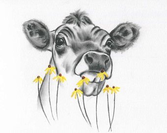 340x270 Calf Drawing Etsy - Calf Sketch