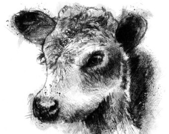340x270 Calf Sketch Etsy - Calf Sketch