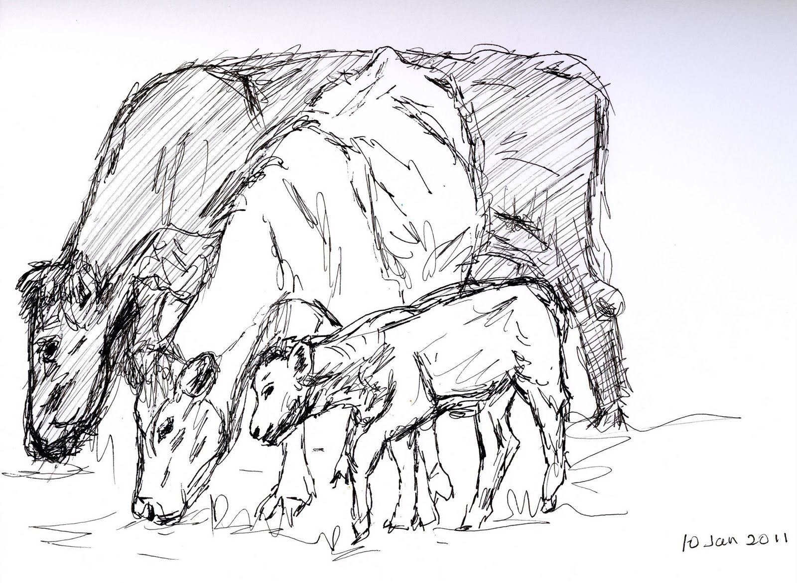 1600x1171 Frabjous Art Musings Two Cows And A Calf (Sketch 96) - Calf Sketch
