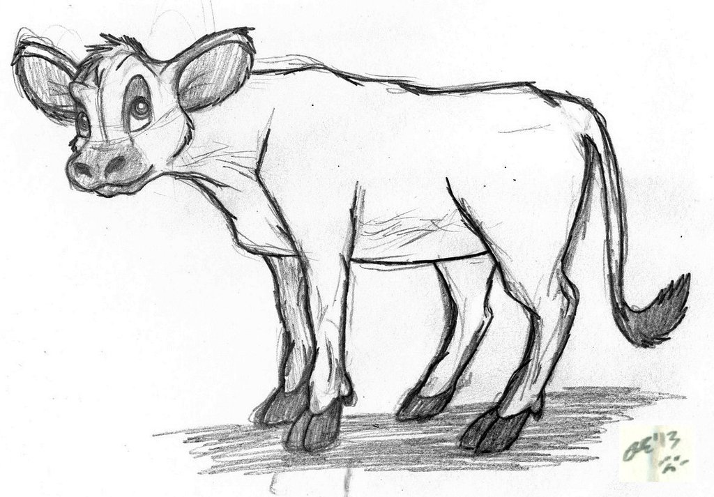 1024x713 Little Calf Sketch By Socksthemutt - Calf Sketch