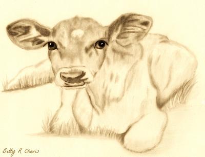 400x306 My First Drawing Of A Calf - Calf Sketch