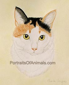 222x275 Cat Portraits By Cherie Vergos - Calico Cat Sketch