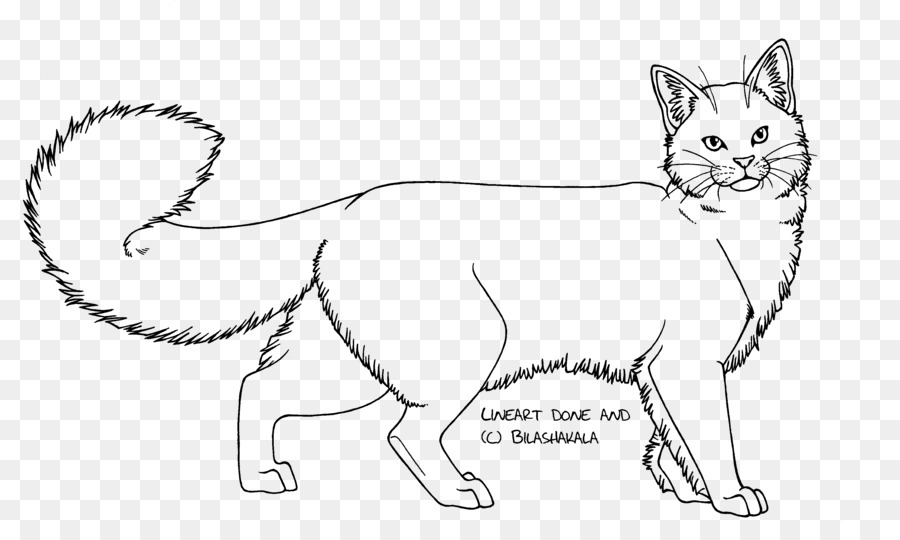 900x540 Persian Cat Line Art Drawing Domestic Long Haired Cat Calico Cat - Calico Cat Sketch