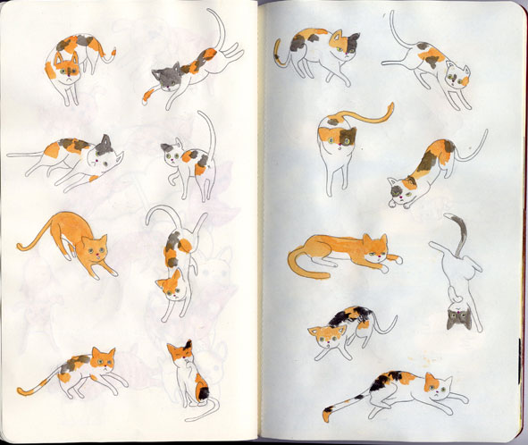 591x498 The Art And Adventure Blog! Doodle Cats And Hot Dogs - Calico Cat Sketch