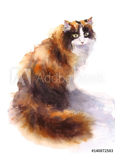 372x500 Watercolor Calico Cat Sitting Hand Drawn Sketch Pet Portrait - Calico Cat Sketch