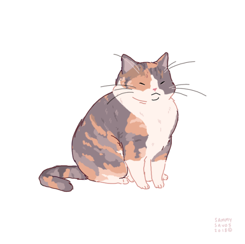 500x498 Calico Cat Art Tumblr - Calico Cat Sketch