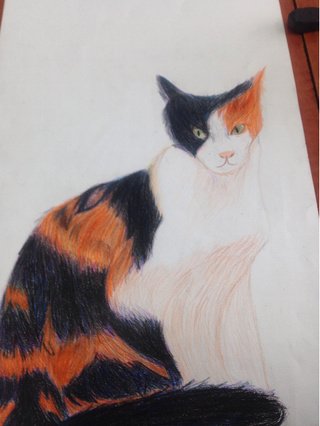 320x426 Calico Drawings On Paigeeworld. Pictures Of Calico - Calico Cat Sketch