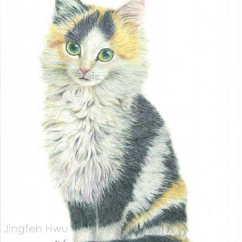 354x354 Cat Face Drawing Art Print - Calico Cat Sketch