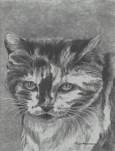 229x300 Calico Cat Drawings Fine Art America - Calico Cat Sketch