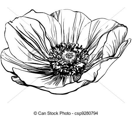 450x394 Poppy Clipart Line Drawing - California Poppy Sketch