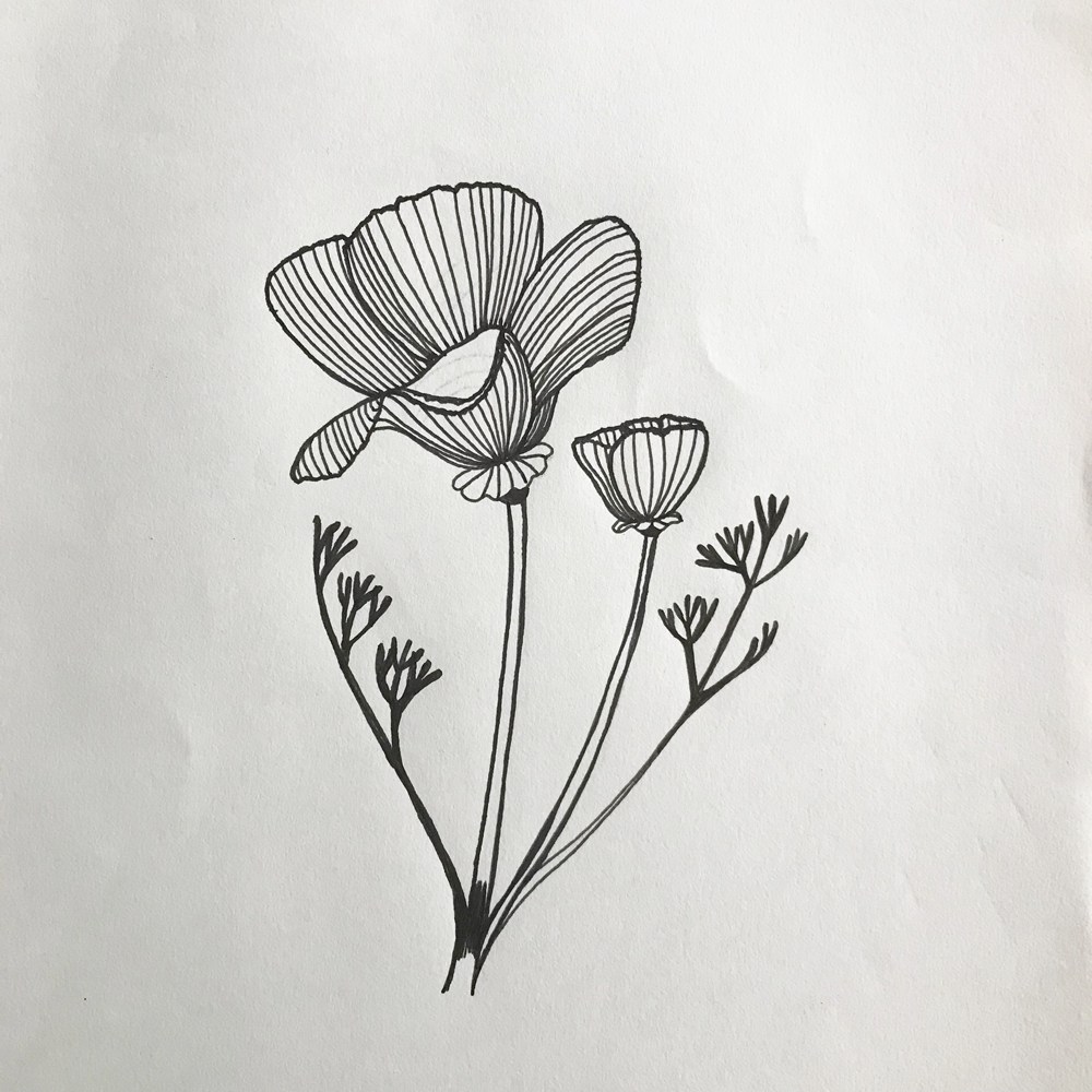 1000x1000 The Heated California Poppy Dish Towel - California Poppy Sketch