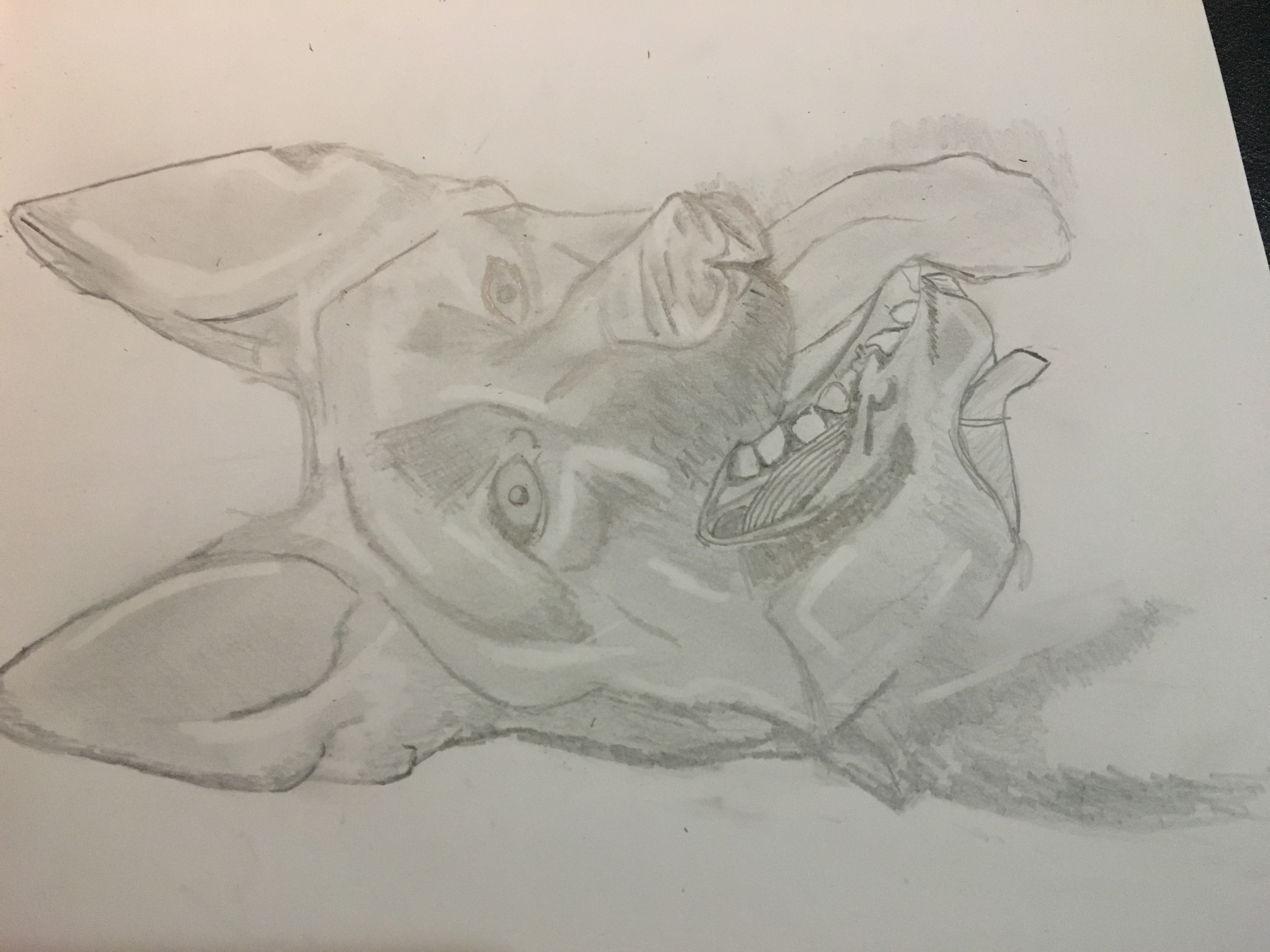 4032x3024 Character Sketch Call Of The Wild By Jack London Brittneyreads - Call Sketch