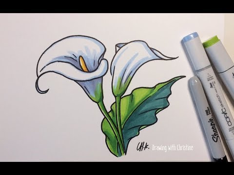 480x360 Drawing Line Art Demo Calla Lilies With Ink Copic Markers - Calla Lily Sketch