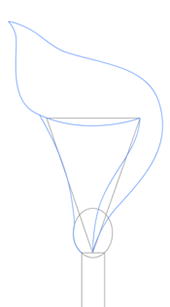 170x307 How To Draw A Calla Lily - Calla Lily Sketch