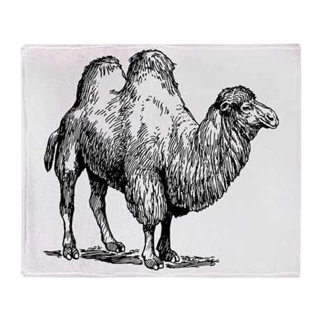 460x460 Camel Sketch Blankets - Camel Sketch