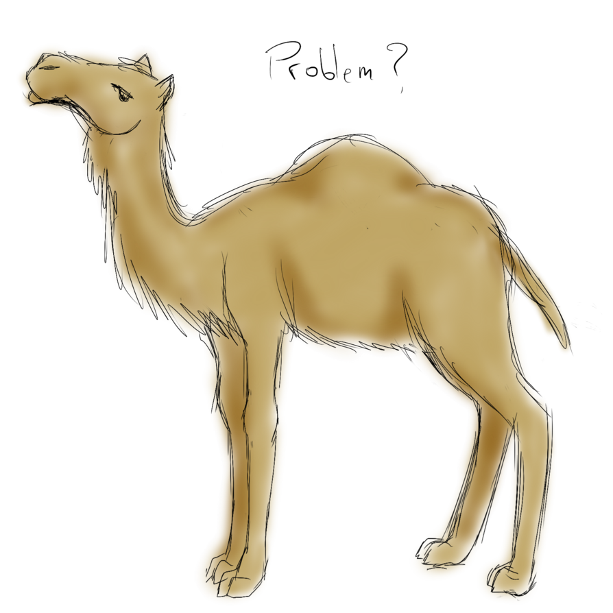 894x894 Camel [Sketch Request] By Popolis - Camel Sketch