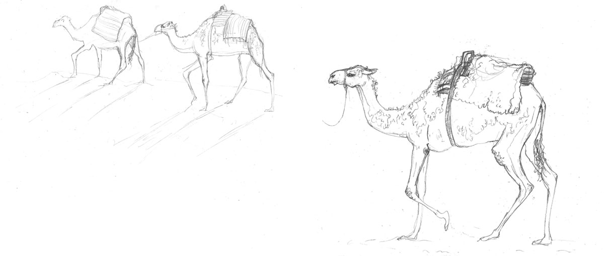 1200x509 Drawn Camel Pencil Sketch - Camel Sketch