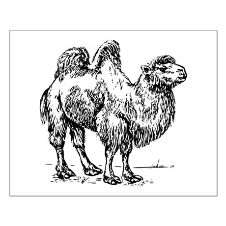 460x460 Camel Drawing Wall Art - Camel Sketch
