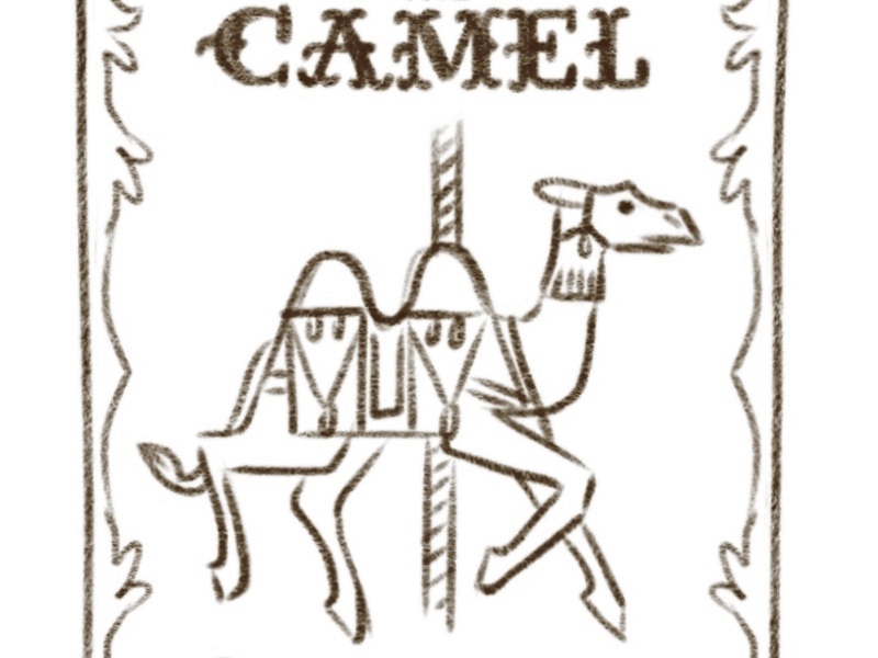 800x600 Camel Sketch By Steve Lowtwait - Camel Sketch Images