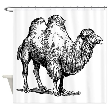 460x460 Camel Sketch Shower Curtain By Animalsandwildlifegifts2 - Camel Sketch Images