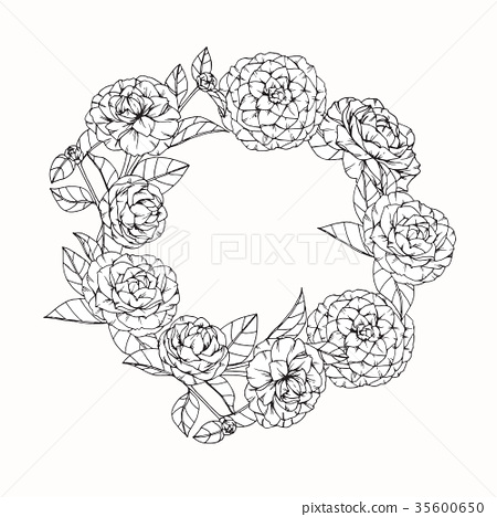 450x468 Camellia Flower Drawing. - Camellia Sketch