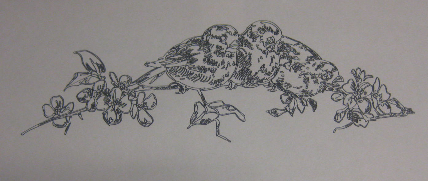 1394x589 Sketching Using Mtc And Cameo Make The Cut! Forum - Cameo Sketch