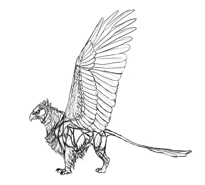 700x631 How To Draw A Griffin - Can Sketch