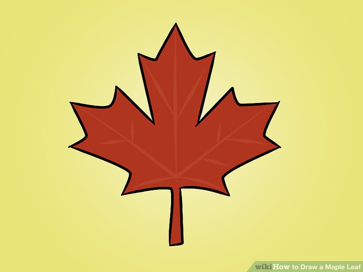 728x546 How To Draw A Maple Leaf - Canada Flag Sketch