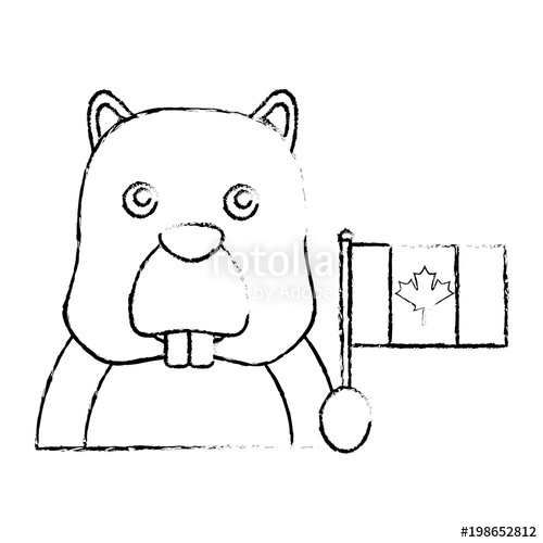 500x500 Beaver Mascot Holding Canadian Flag Vector Illustration Sketch - Canada Flag Sketch