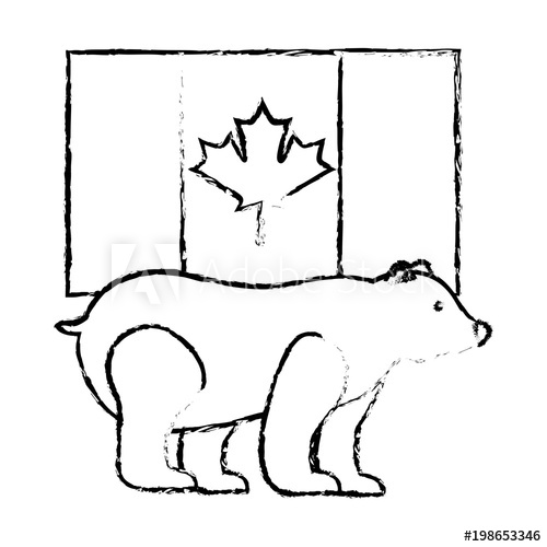 500x500 Grizzly Bear And Flag Canadian Symbol Vector Illustration Sketch - Canada Flag Sketch