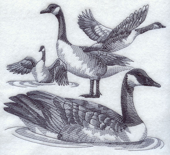 581x530 Machine Embroidery Designs - Canada Goose Sketch