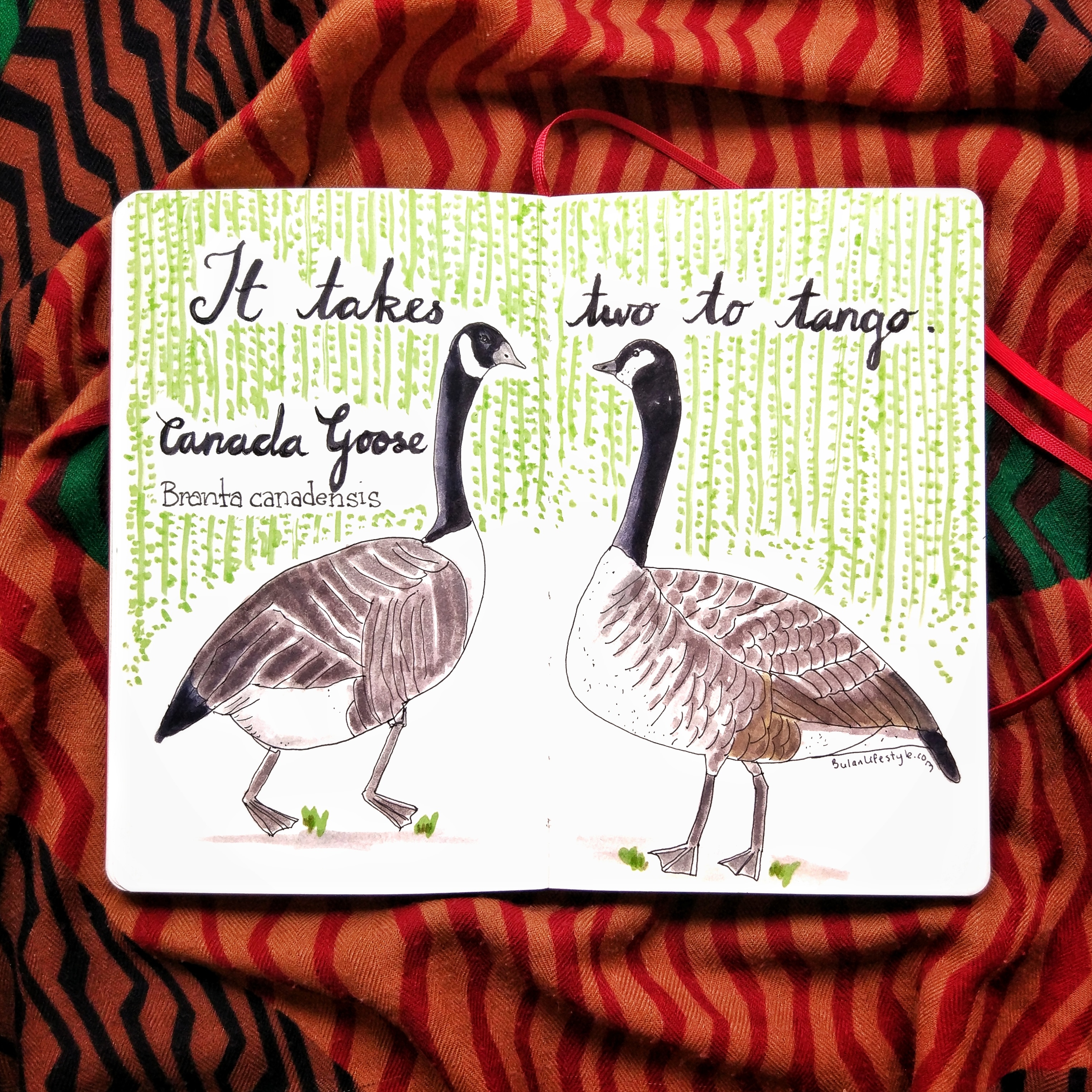 3050x3050 Sketch Of The Day No 1178 In My Moleskine Art Journal Canada - Canada Goose Sketch