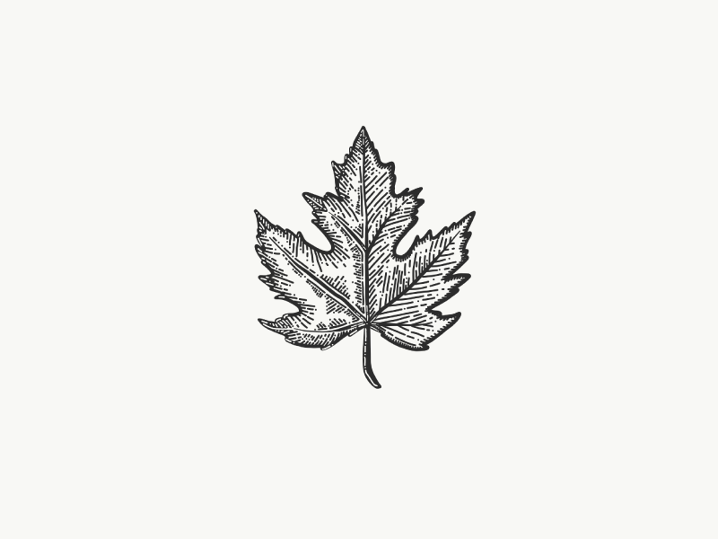800x600 Etch A Sketch 6 - Canadian Maple Leaf Sketch