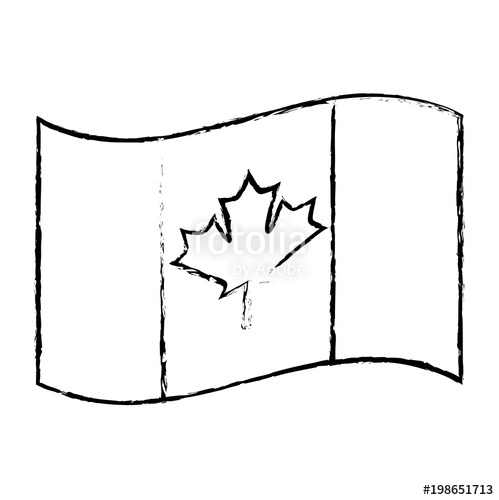 499x500 Canadian Flag Maple Leaf Waving Vector Illustration Sketch Stock - Canadian Maple Leaf Sketch