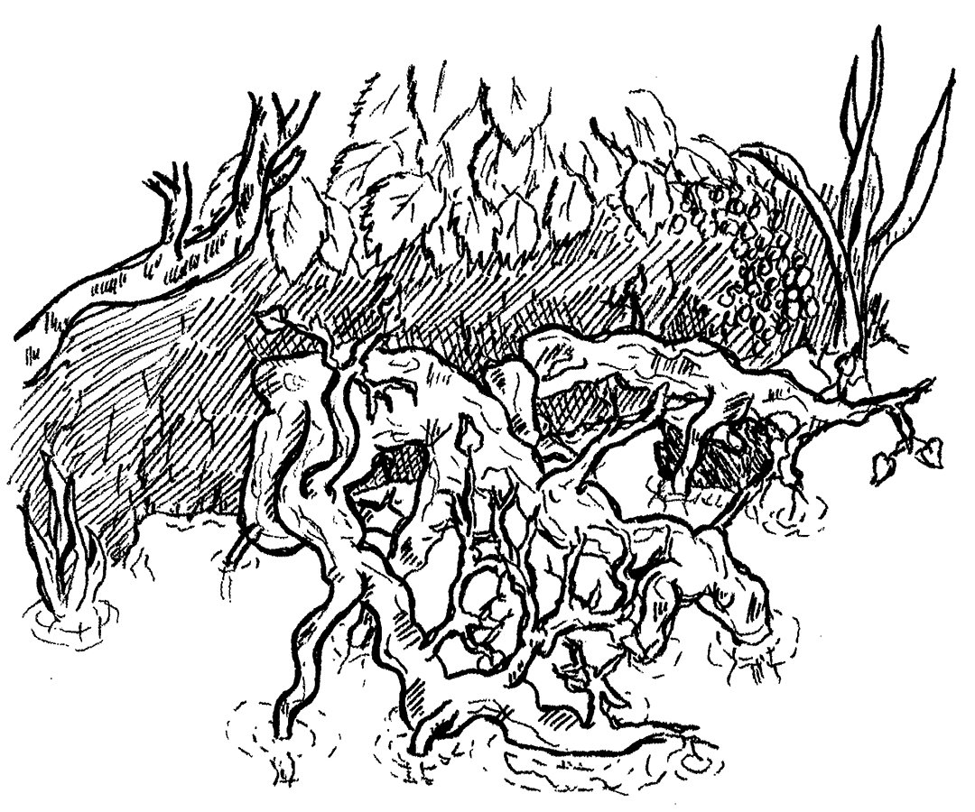 1080x900 Sketches On A Canal - Canal Sketch