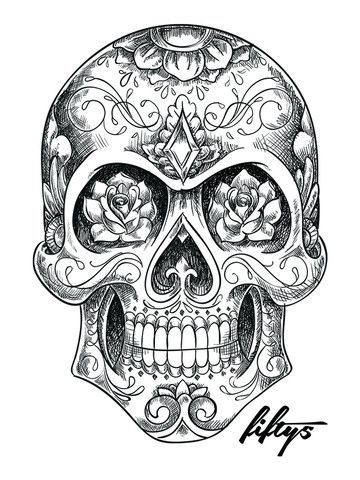 360x480 Sugar Skull Sketch 5 Pack Of Stickers Fifty5 Clothing - Candy Skull Sketch
