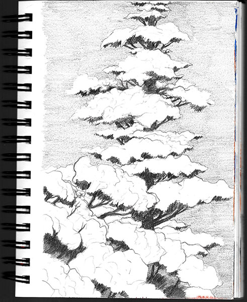 491x600 Forest Sketch 4 Too Much White Paper - Canson Universal Sketch