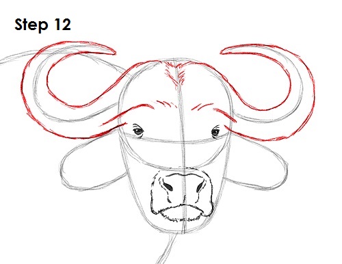 500x386 How To Draw An African Cape Buffalo - Cape Buffalo Sketch